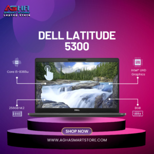 Dell Latitude 5300