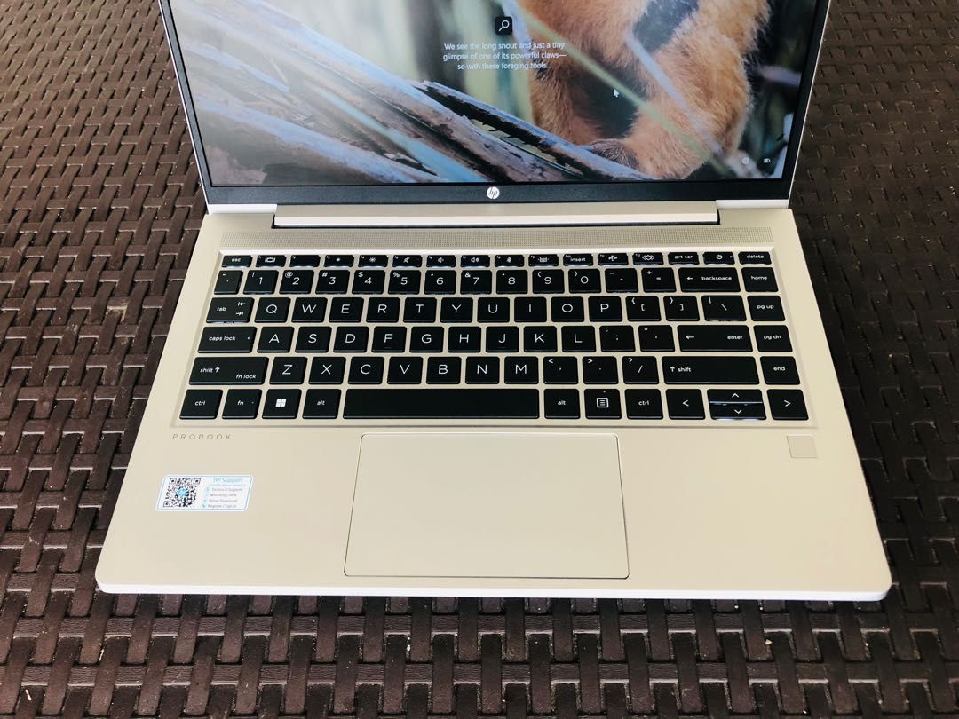 HP ProBook 445 G8 by agha smart store laptop egypt مصر لابتوب اغا سمارت ستور