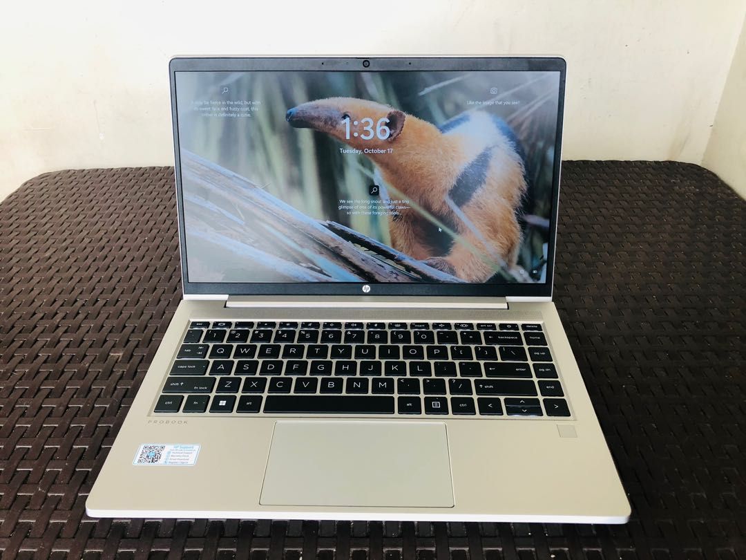 HP ProBook 445 G8 by agha smart store laptop egypt مصر لابتوب اغا سمارت ستور